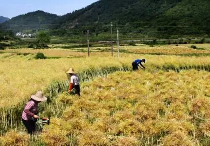 59博论坛网·(中国区)官方网站