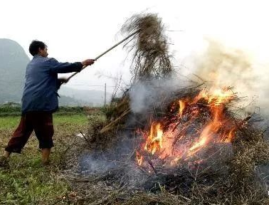 59博论坛网·(中国区)官方网站