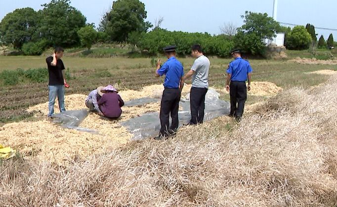 59博论坛网·(中国区)官方网站