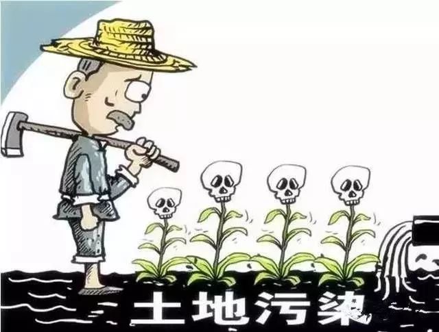 59博论坛网·(中国区)官方网站