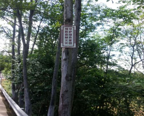 59博论坛网·(中国区)官方网站