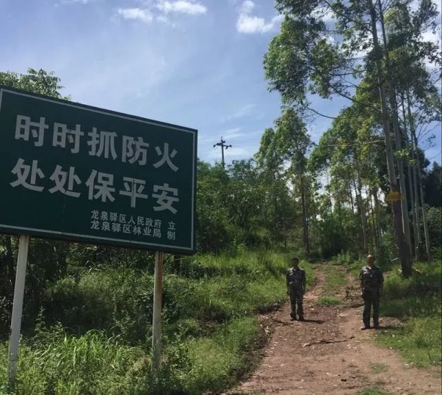 59博论坛网·(中国区)官方网站