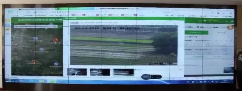 59博论坛网·(中国区)官方网站