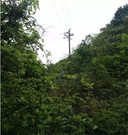 59博论坛网·(中国区)官方网站