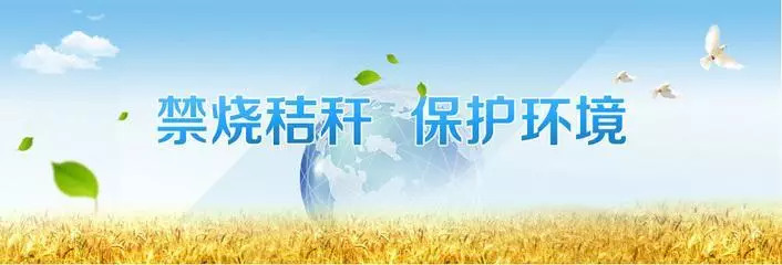 59博论坛网·(中国区)官方网站