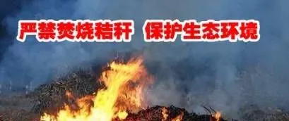 59博论坛网·(中国区)官方网站
