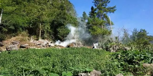59博论坛网·(中国区)官方网站