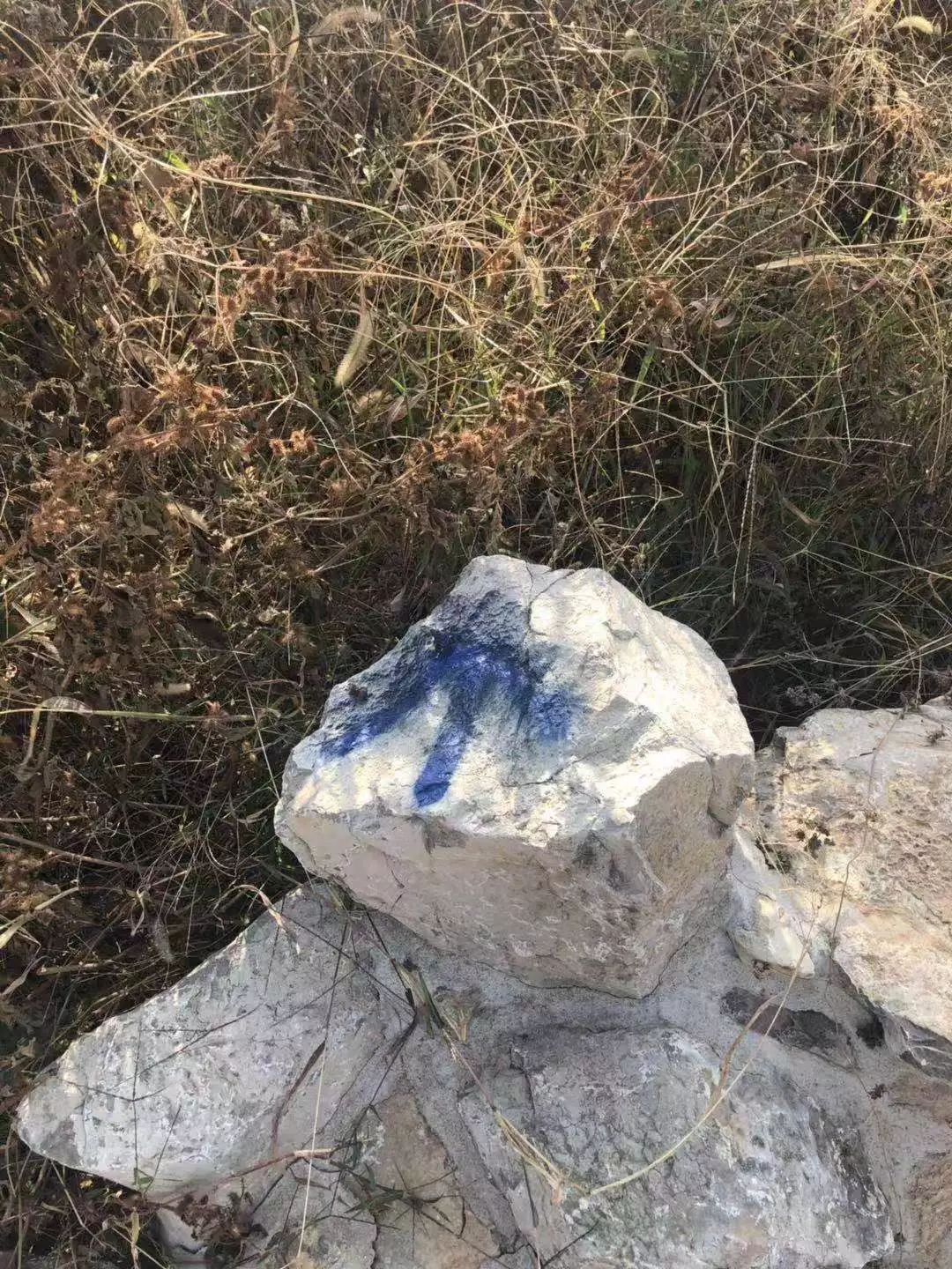 59博论坛网·(中国区)官方网站