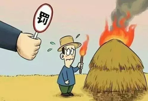 59博论坛网·(中国区)官方网站