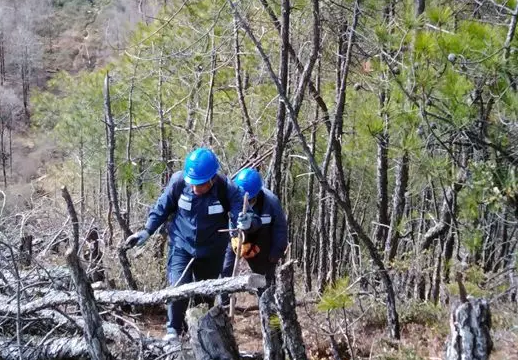59博论坛网·(中国区)官方网站