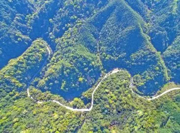 59博论坛网·(中国区)官方网站