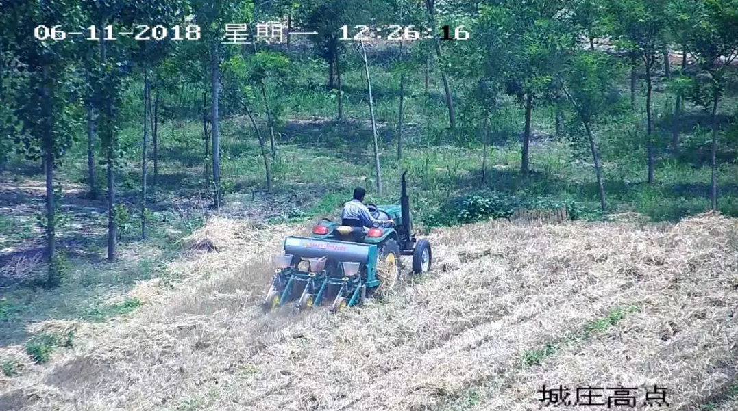 59博论坛网·(中国区)官方网站