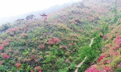 59博论坛网·(中国区)官方网站
