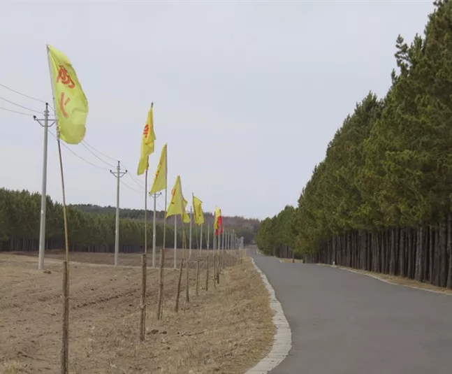 59博论坛网·(中国区)官方网站