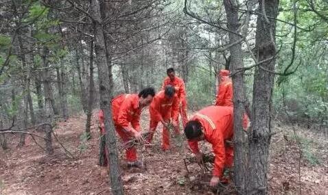 59博论坛网·(中国区)官方网站