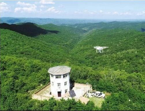 59博论坛网·(中国区)官方网站