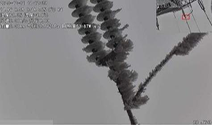 59博论坛网·(中国区)官方网站