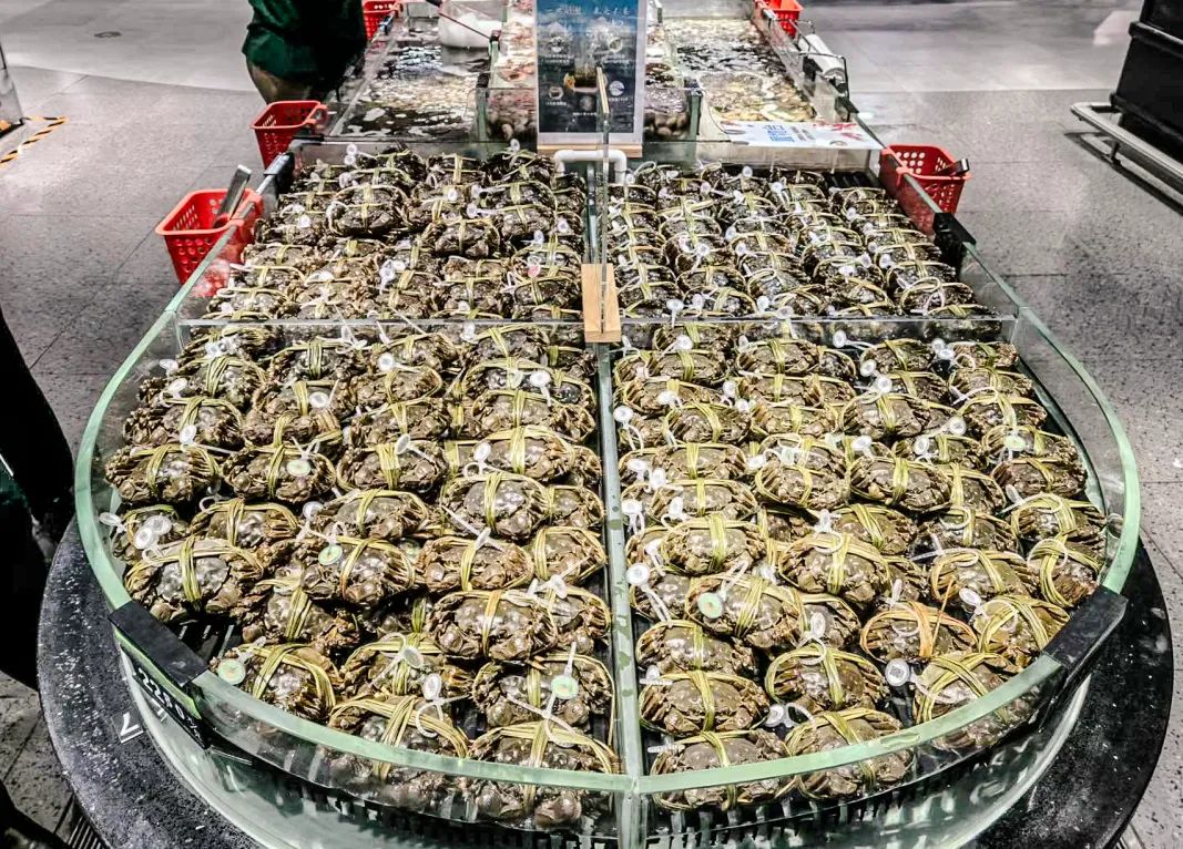 pp电子·模拟器(试玩游戏)官方网站