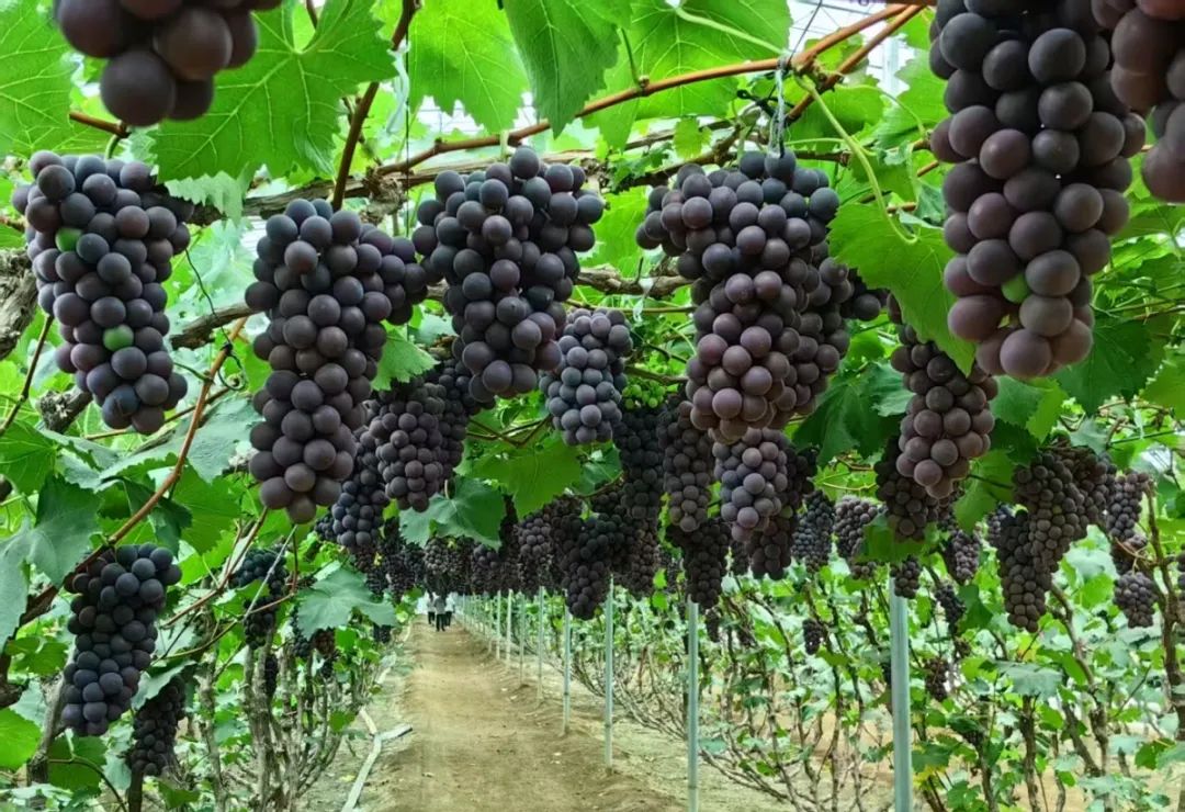 ea6e6bea98840a9c9f800e084f1b3ca4